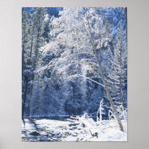 Póster EUA, Califórnia, Parque Nacional de Yosemite, 2