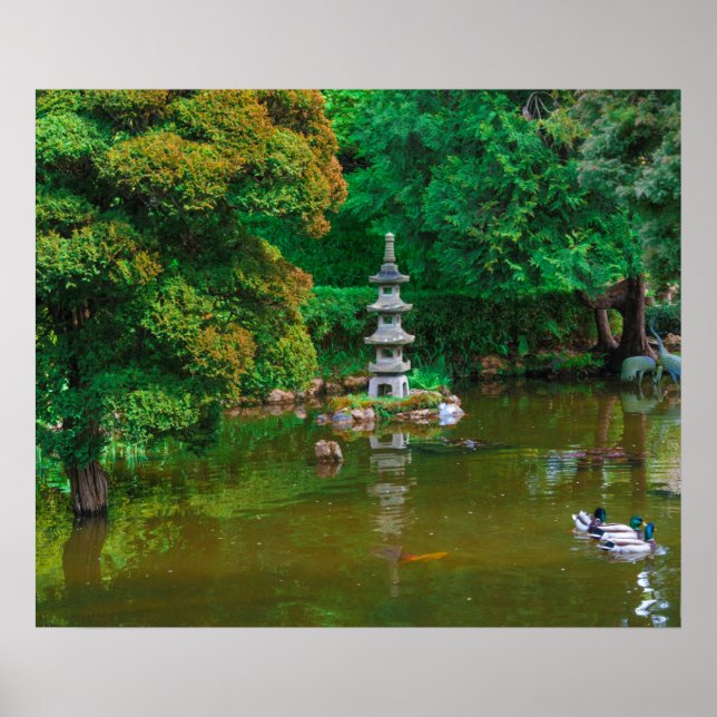 Poster EUA, Califórnia. Vista De Um Pond (Frente)