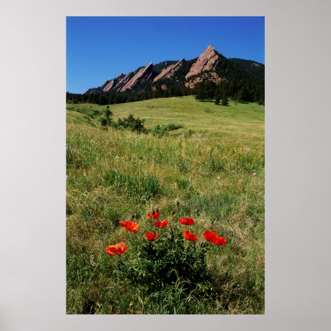 Poster EUA, Colorado, Boulder. Flatirons e papoulas (Frente)