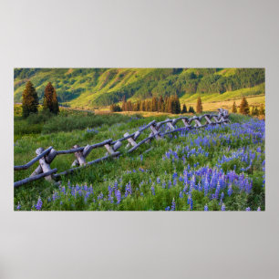 Poster EUA, Colorado. Linhas de apoio e vedação