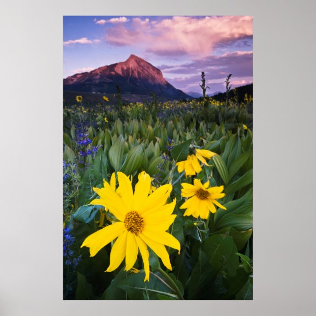 Poster EUA, Colorado, Mt. Crested Butte (Frente)