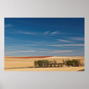 Póster EUA, Dakota do Sul, Murdo, Paisagem de Pradaria
