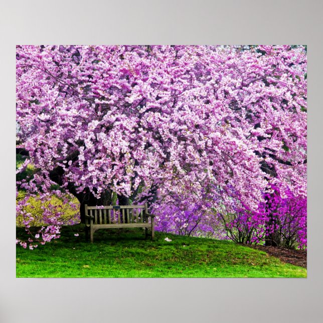 Póster EUA, Delaware, Wilmington. Banco de madeira sob (Frente)