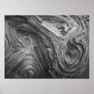 Póster EUA, Estado de Washington. Fir Douglass