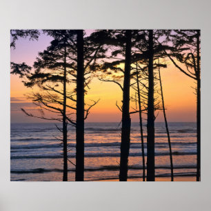 Póster EUA, Estado de Washington, Olimpiadas NP. Delicado