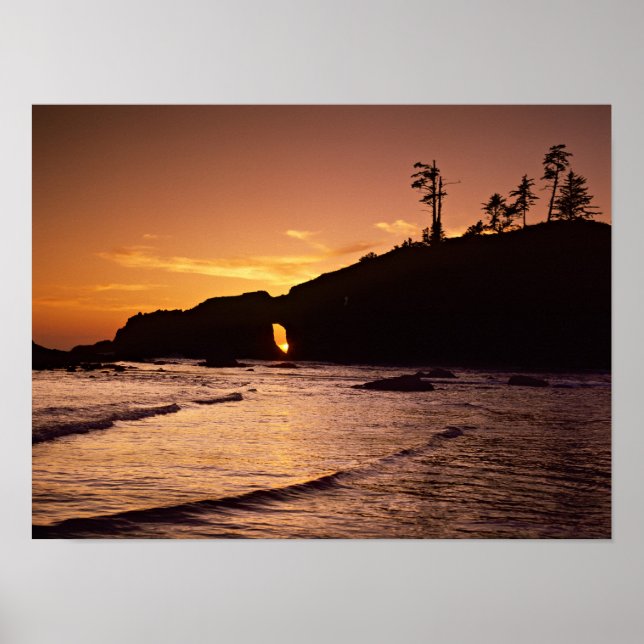 Póster EUA, Estado de Washington, Parque Nacional Olímpic (Frente)