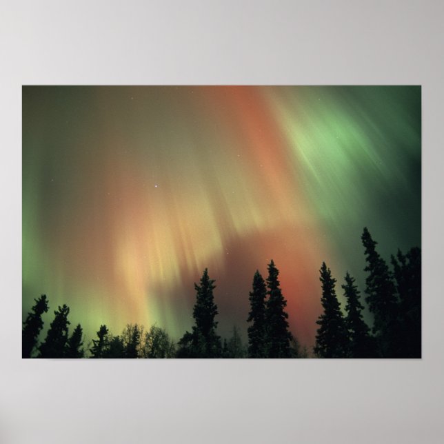 Póster EUA, Fairbanks, Central Alaska, Aurora 3 (Frente)