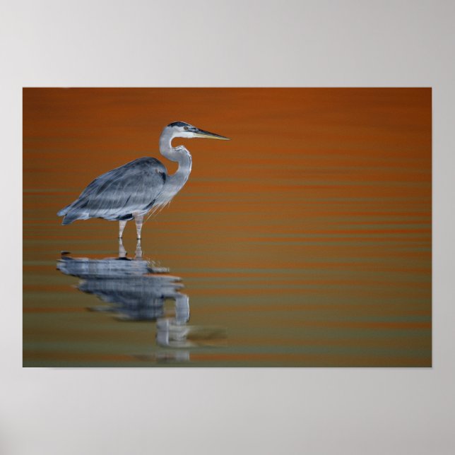 Póster EUA, Flórida, Ruas. Petersburgo, Fort De Soto (Frente)