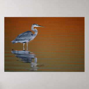 Póster EUA, Florida, St Petersburg, Forte De Soto