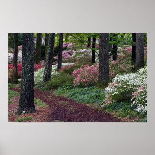 Poster EUA, Geórgia, Jardins Callaway.Caminho