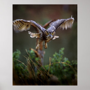 Póster EUA, Geórgia, montanha do pinho, jardins de