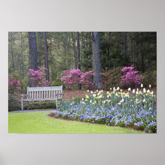 Póster EUA, Geórgia, Pine Mountain. Uma fronteira de (Frente)