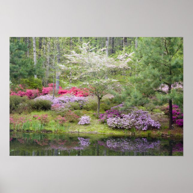 Póster EUA, Geórgia, Pine Mountain. Uma mistura de (Frente)