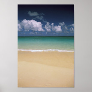 Póster EUA, Havaí. Cena de praia