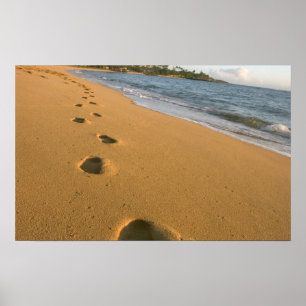 Póster EUA, Havaí, Kauai, Kapa'a, frente para a praia.