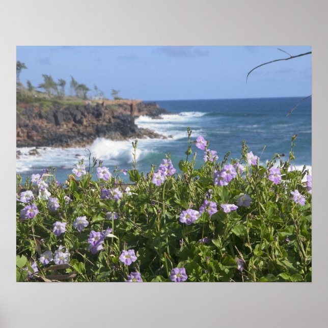 Póster EUA, Havaí, Kauai, perto de Kapaa, noroeste (Frente)