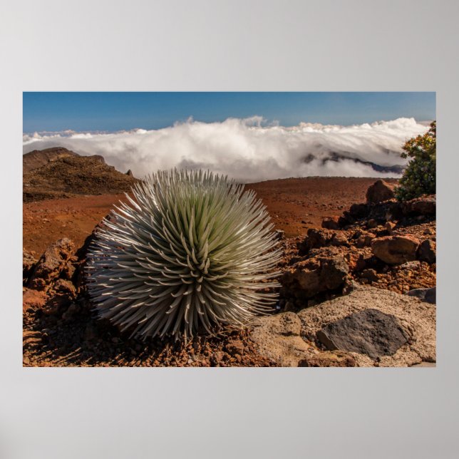 Póster EUA, Havaí, Maui, Parque Nacional de Haleakala (Frente)