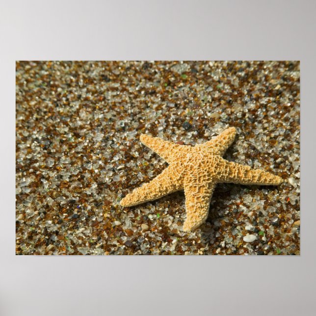 Poster EUA, HI, Kauai, Glass Beach com estrela-do-mar (Frente)