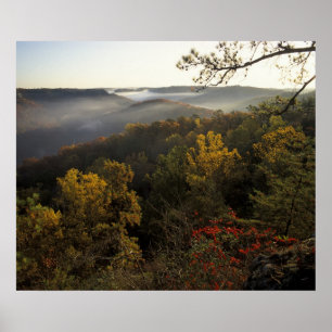 Poster EUA, Kentucky. Floresta Nacional Daniel Boone.