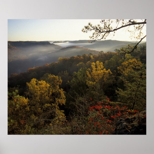 Póster EUA, Kentucky. Floresta Nacional Daniel Boone. (Frente)