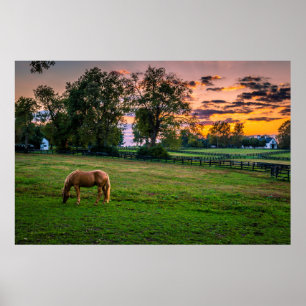 Poster EUA, Lexington, Kentucky. Cavalo solitário ao pôr