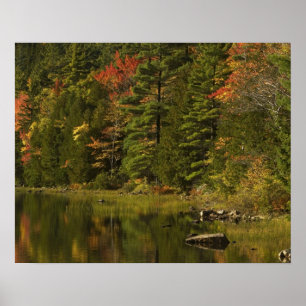Poster EUA; Maine; Acadia NP. Reflexos de outono às 2