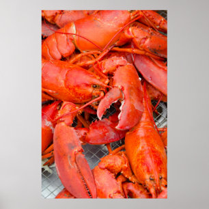 Póster EUA, Massachusetts, Ilha de Martha's Vineyard