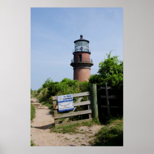 Poster EUA, Massachusetts, Vineyard de Martha, Aquinnah.