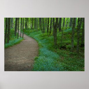 Póster EUA, Michigan. Caminho das Falhas do Miner