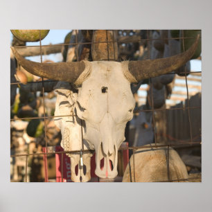 Póster EUA, New mexico, Mesilla: Plaza histórica de