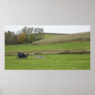 Poster EUA, nordeste de Ohio. Bugre Amish em fazenda