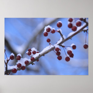 Poster EUA, Nova Inglaterra, Massachusetts, Reading, 3