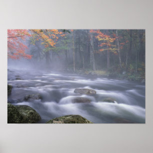 Póster EUA, Nova York, Adirondacks, Rio Big Moose