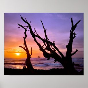 Poster EUA, Oregon, Cape Meares. Pôr do sol