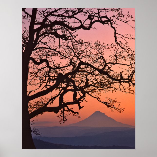Póster EUA, Oregon, Columbia River Gorge National 2 (Frente)
