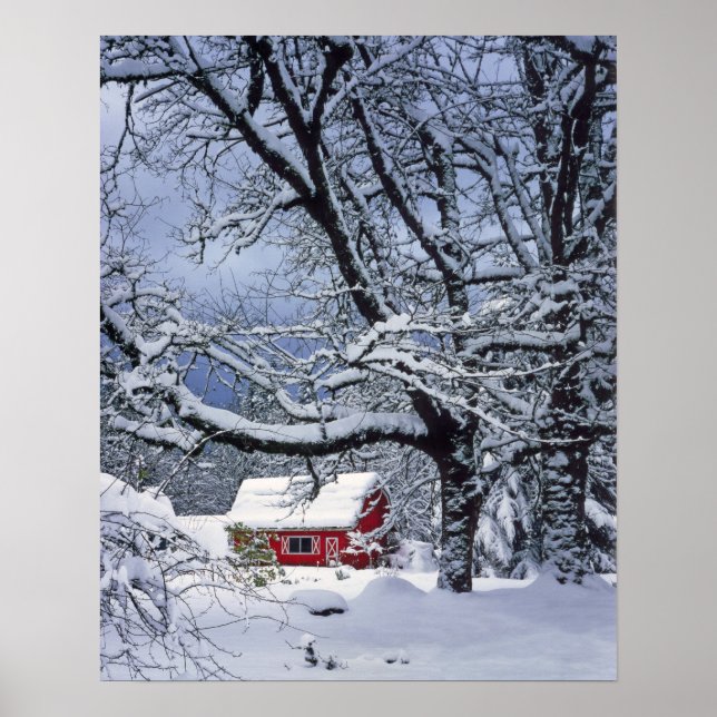 Póster EUA, Oregon, Condado de Clackamas. Cobrir de neve  (Frente)