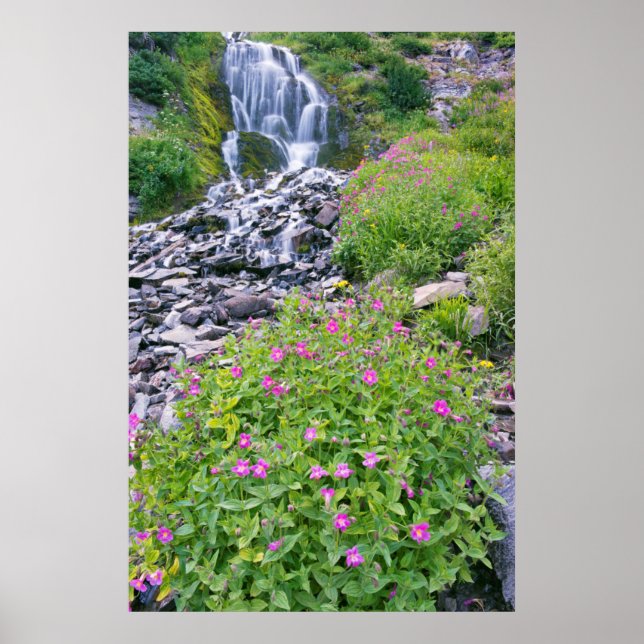 Póster EUA, Oregon, Crater Lake National Park (Frente)