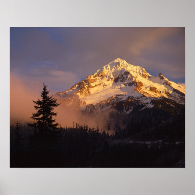 Poster EUA, Oregon, Floresta Nacional de Mt. Hood. Ondula (Frente)