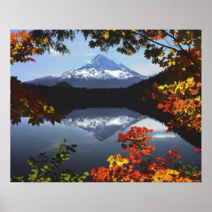 Poster EUA, Oregon, Floresta Nacional do Monte Hood.