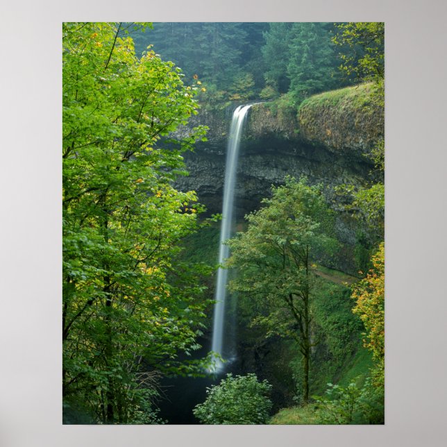 Póster EUA, Oregon, Parque Estadual Silver Falls (Frente)