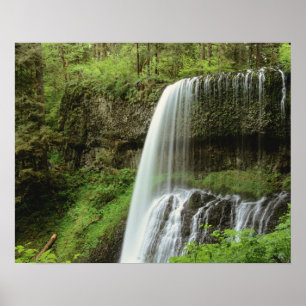 Póster EUA, Oregon, Parque Estadual Silver Falls. Baixo