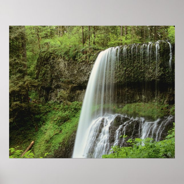 Póster EUA, Oregon, Parque Estadual Silver Falls. Baixo (Frente)
