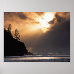 Póster EUA, Oregon, perto de Oswald West State Park, Late