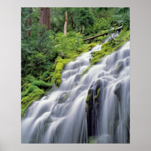 Póster EUA, Oregon, Proxy Falls. Proxy Falls corre