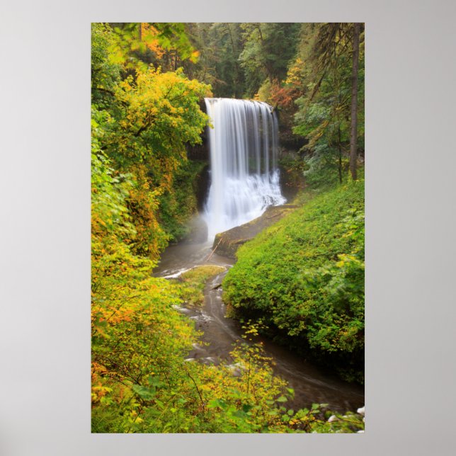 Poster EUA, Oregon, Silver Falls State Park 3 (Frente)