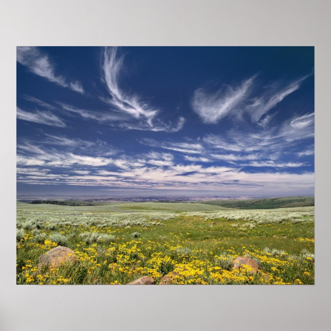 Póster EUA, Oregon, Steens Mountain. Primavera desabrocha (Frente)