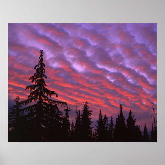 Póster EUA, Oregon, Three Sisters Wilderness, Vívido (Frente)