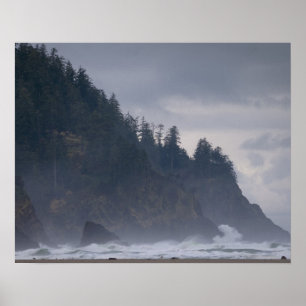 Poster EUA, Oregon, Tillamook County, floresta na costa