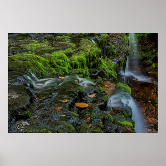 Póster EUA, Pensilvânia, Benton, Rickets Glen State (Frente)