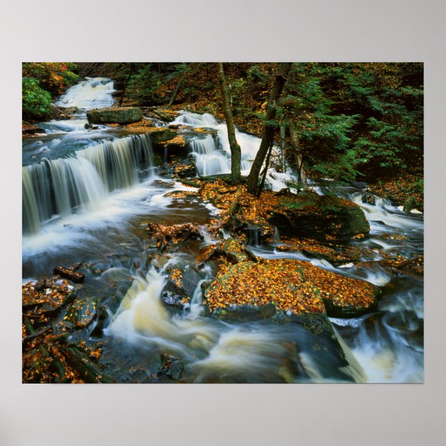 Póster EUA, Pensilvânia, Parque Estadual Ricketts Glen (Frente)